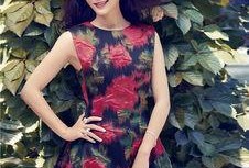 陈数最新爆料新闻视频,揭秘演艺圈幕后真相，独家视频大揭秘