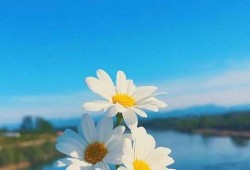 早安最新爆料图片